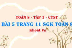 Bài 5 trang 11 SGK Toán 8 Tập 1 Chân trời sáng tạo